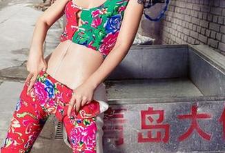 AISS爱丝(黄金版) – 试问索菲，机械师真的需要这么多高清图片的细节吗？